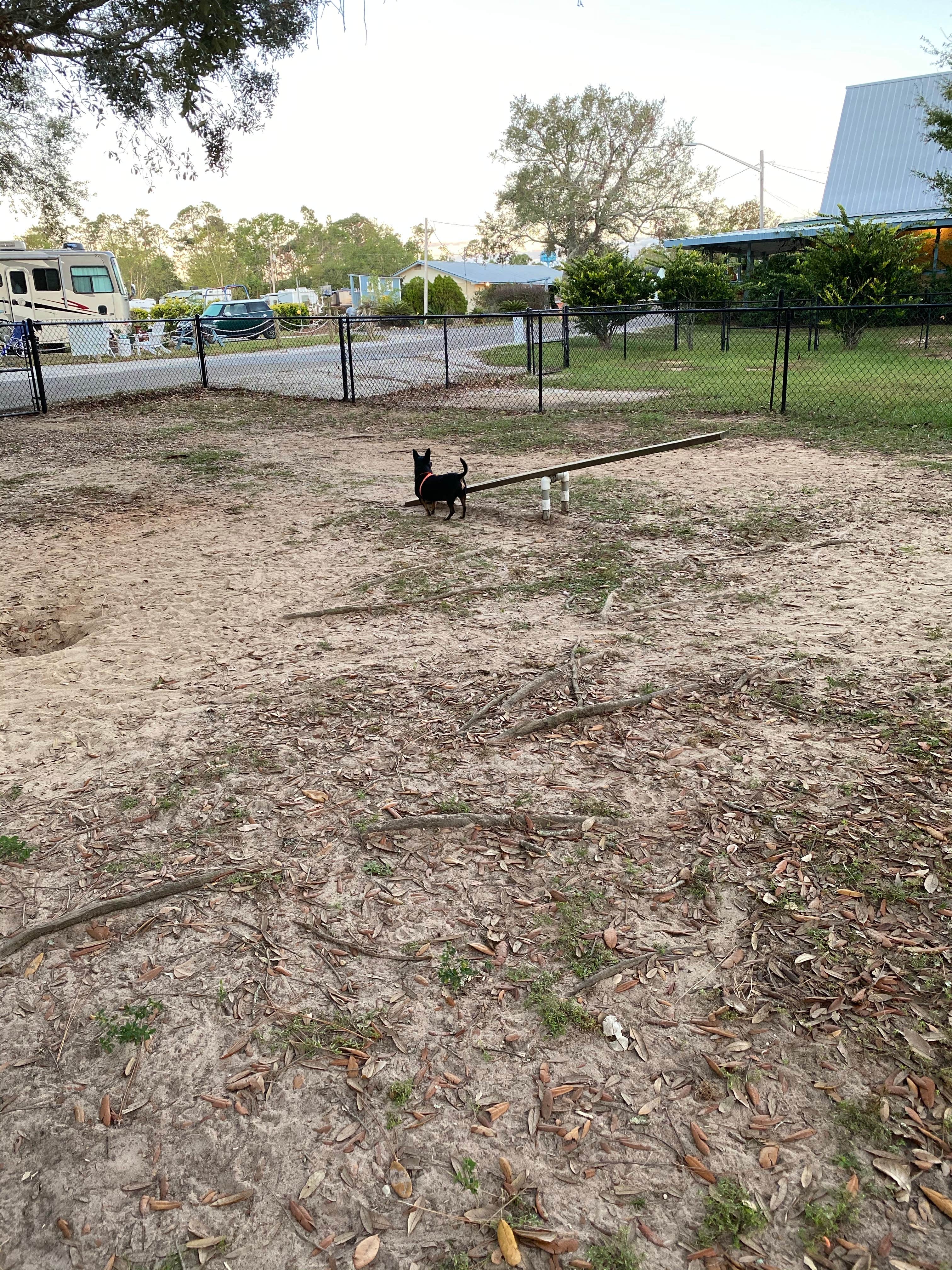 Jaimee D.'s photo of camping with pets at Gulf Shores-Pensacola West KOA near Foley, AL