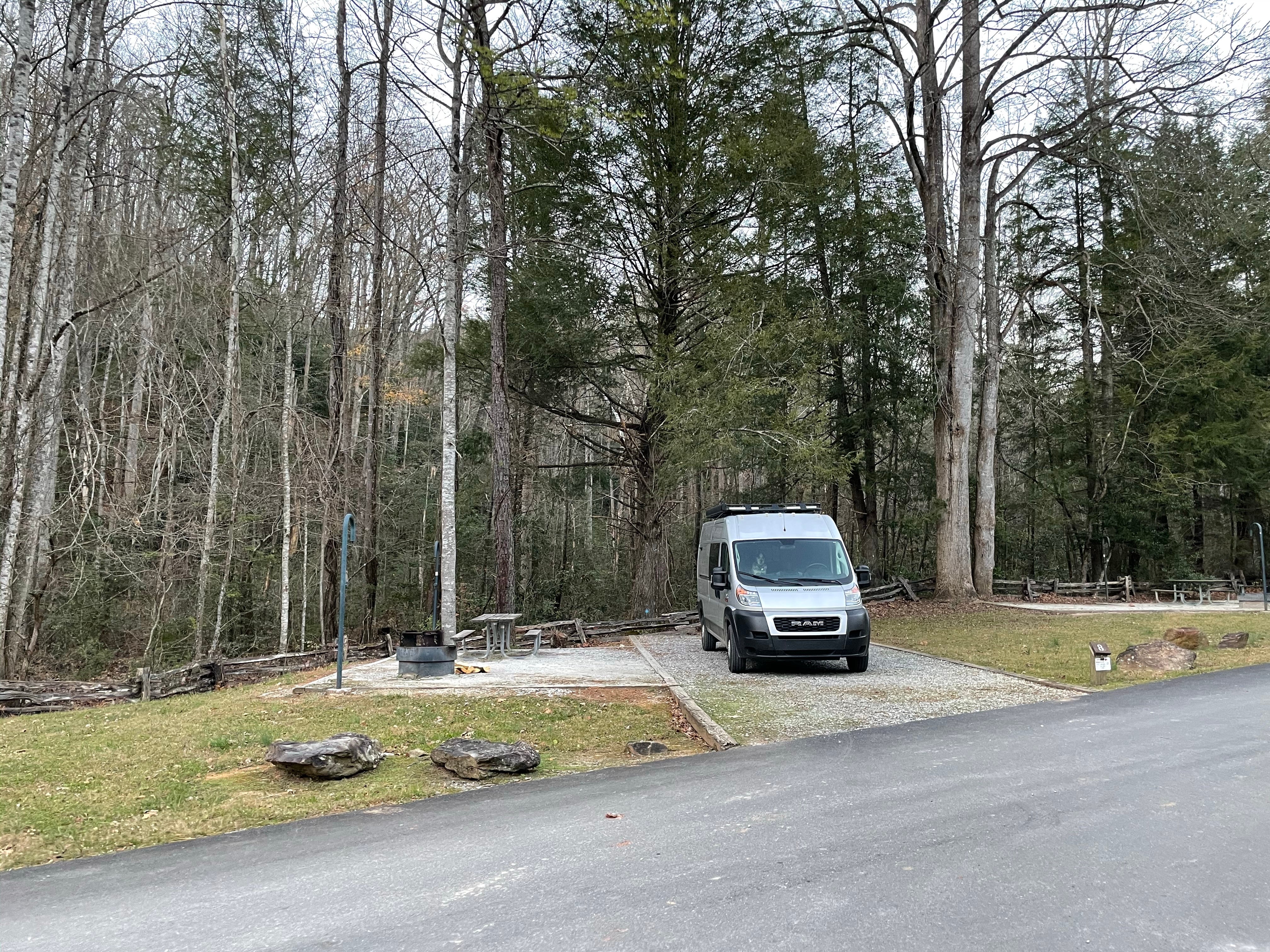 Camper submitted image from Pisgah National Forest Curtis Creek Campground - 3