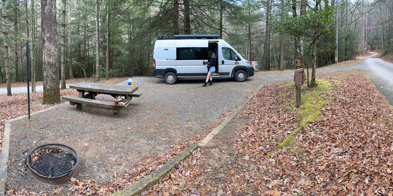 Camper submitted image from Chattahoochee National Forest Lake Winfield Scott Campground