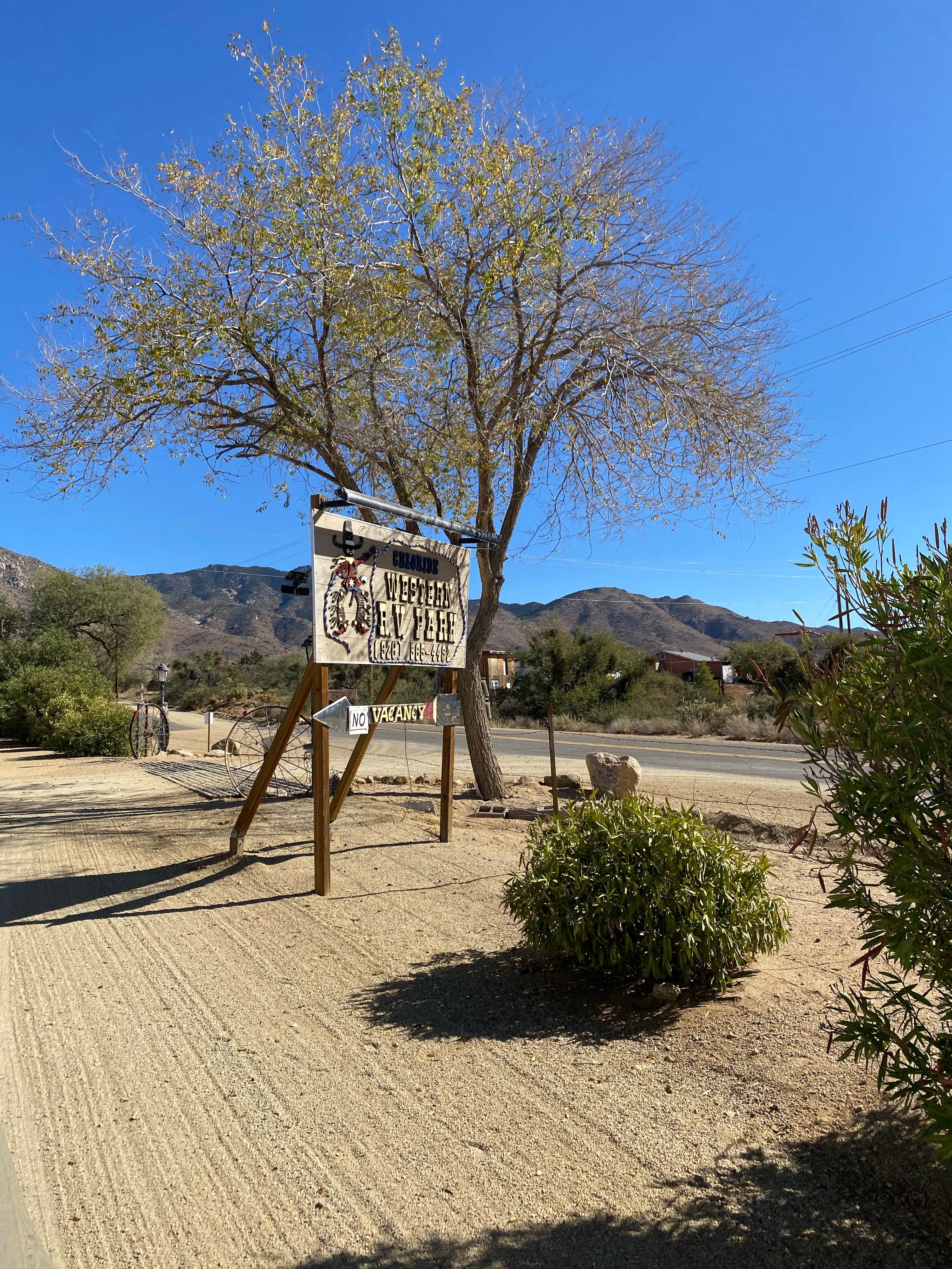 Camper submitted image from Chloride Western R.V. Park - 3