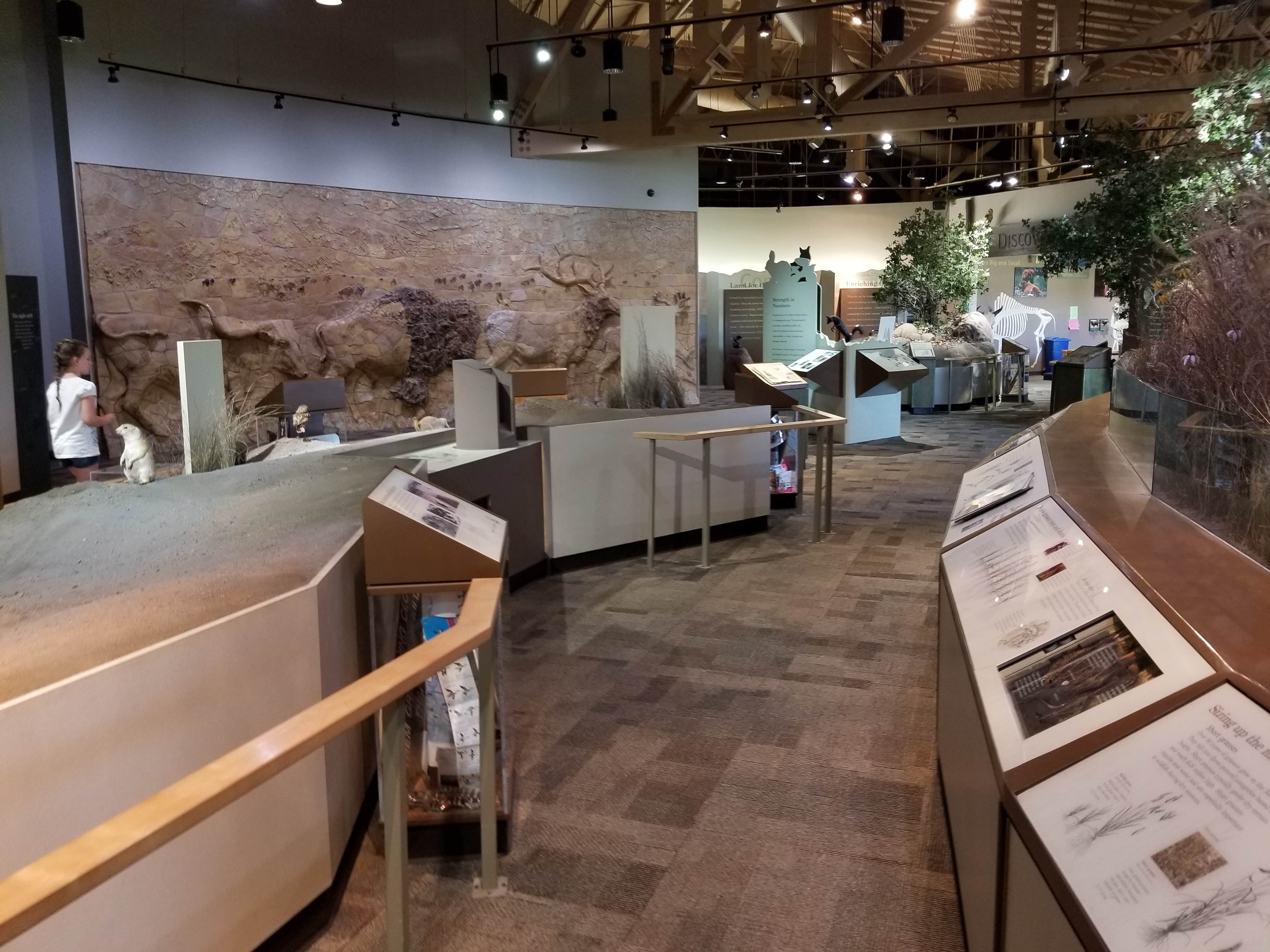 Camper-submitted photo at Camp Doris in Oklahoma