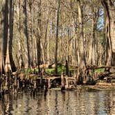 Review photo of Hog Island Recreation Area by Jeff A., November 23, 2020