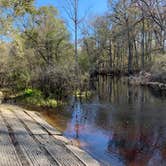 Review photo of Hog Island Recreation Area by Jeff A., November 23, 2020