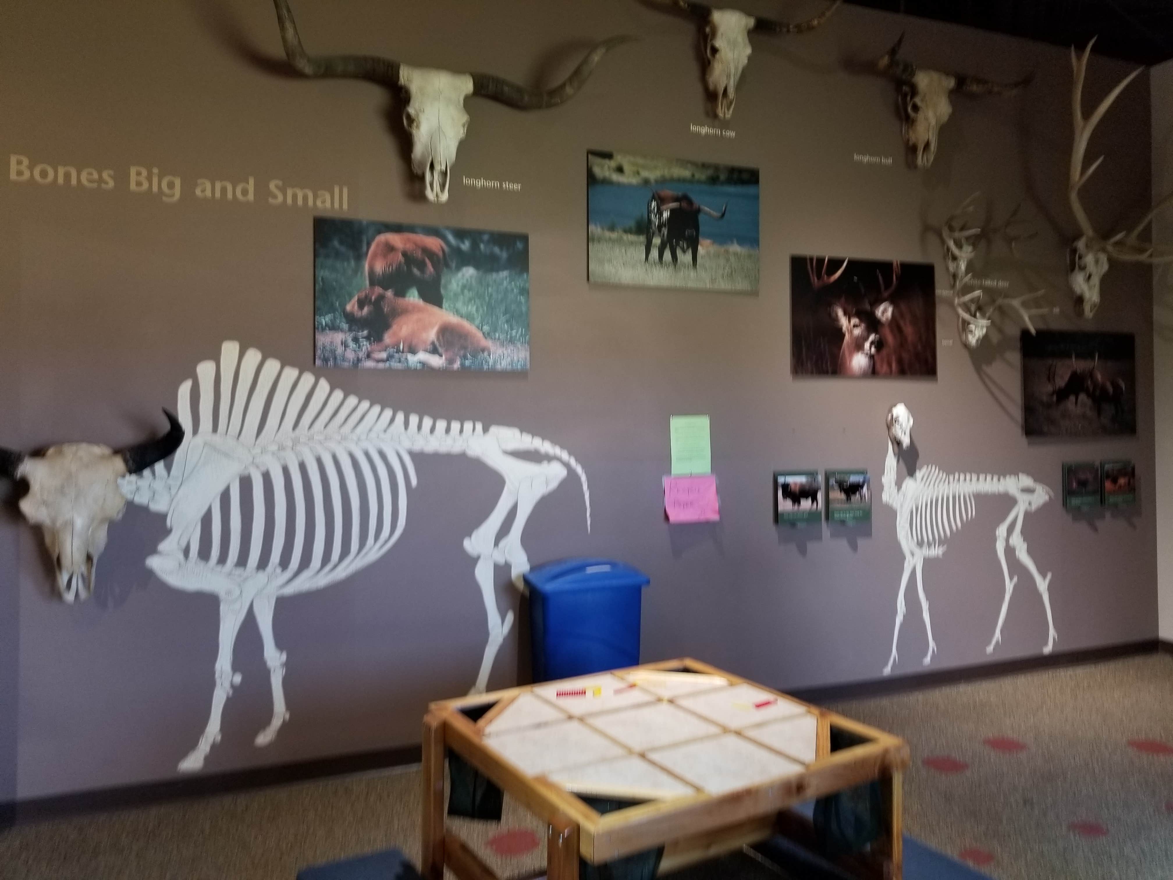 Susie M.'s photo of camping with pets at Camp Doris in Oklahoma