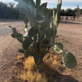 Review photo of Picacho-Tucson NW KOA by Geoffrey Y., November 23, 2020