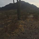 Review photo of Picacho Peak State Park Campground by Geoffrey Y., November 23, 2020