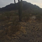 Review photo of Picacho Peak State Park Campground by Geoffrey Y., November 23, 2020