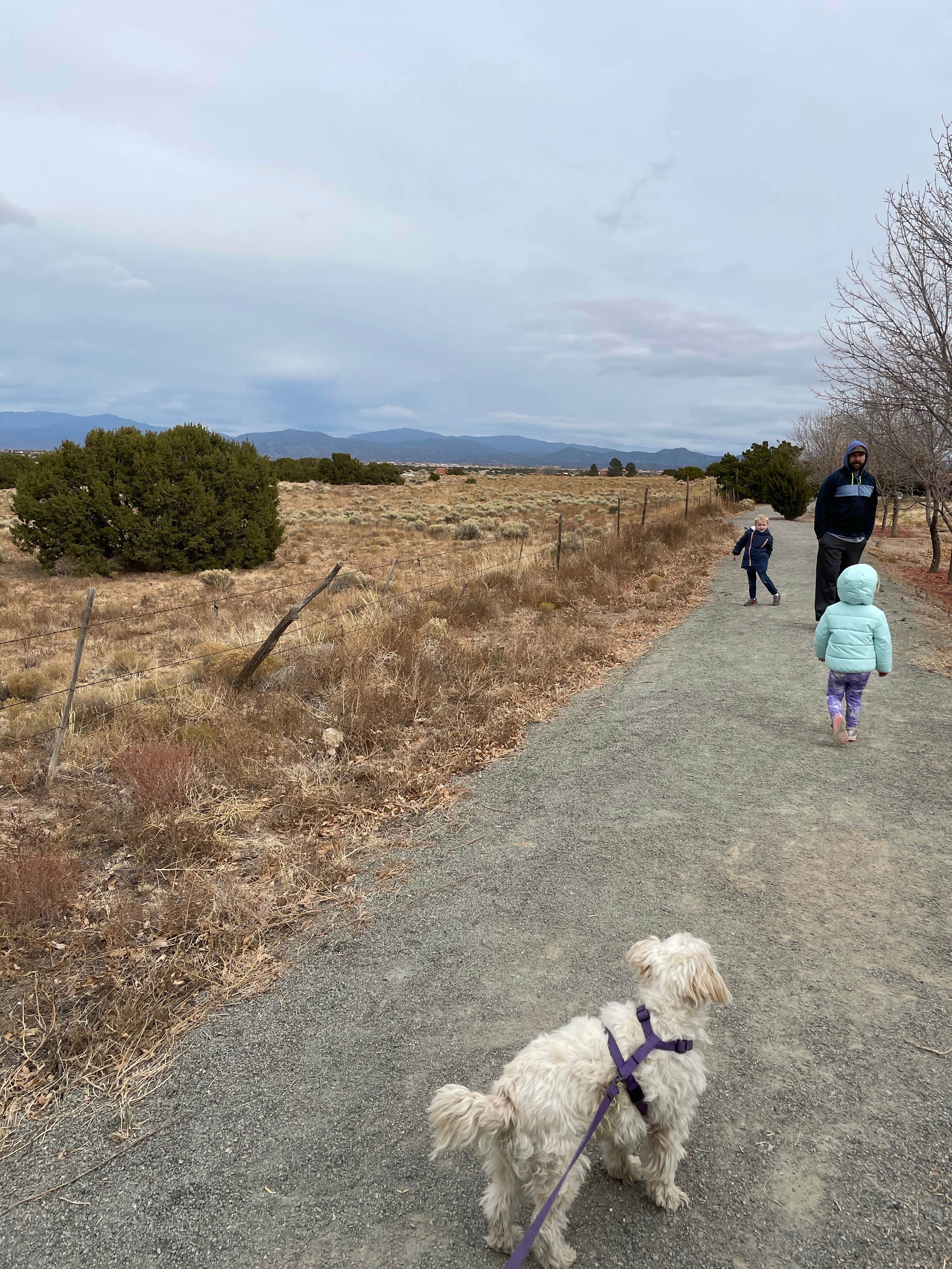 lauren W.'s photo of camping with pets at Santa Fe Skies RV Park near Eldorado at Santa Fe, NM