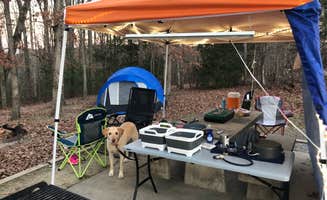 Jason's photo at Pickett CCC Memorial State Park Campground near Robbins, TN