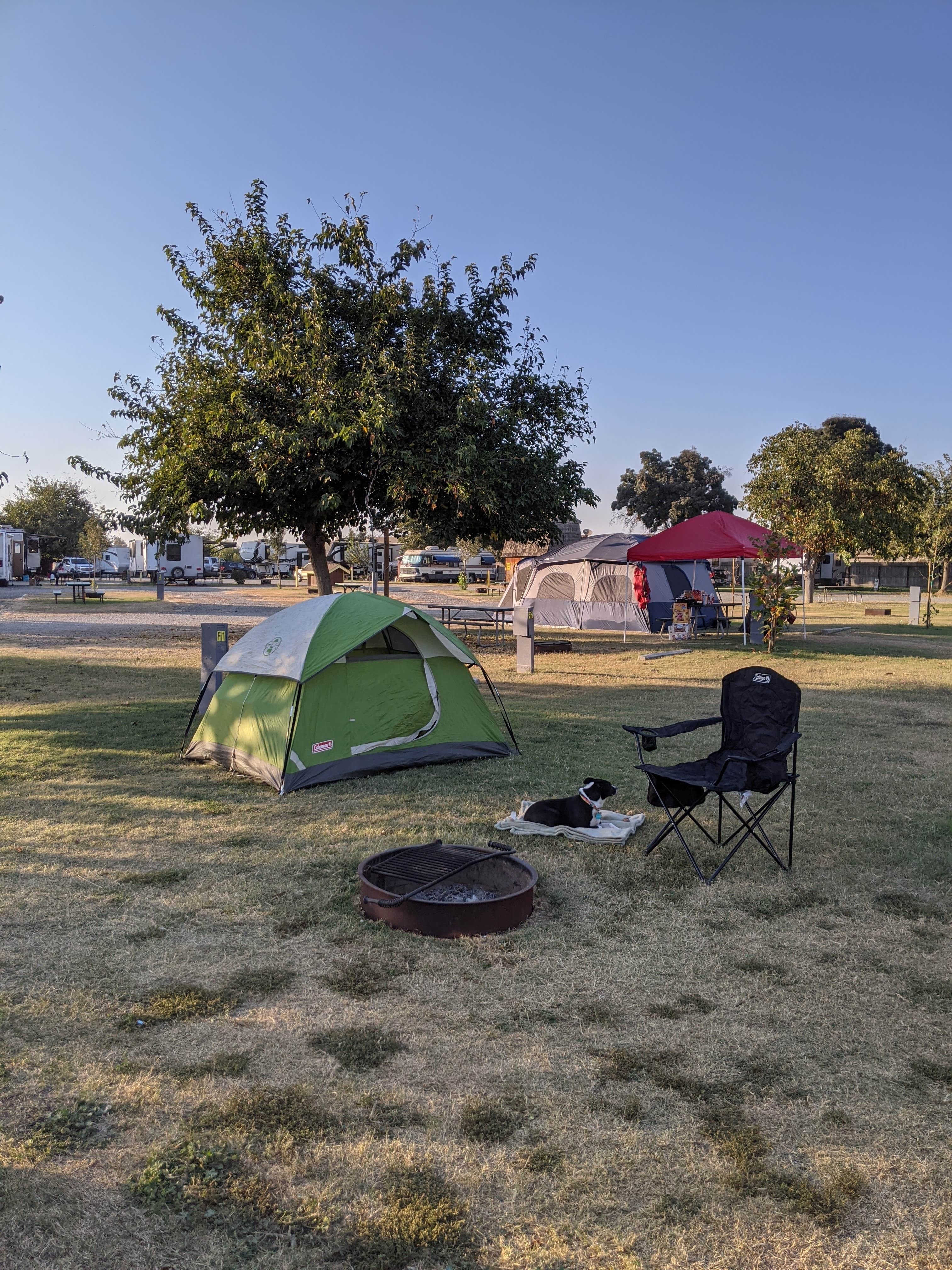 Rexanne G.'s photo at Visalia-Sequoia National Park KOA near Reedley, CA