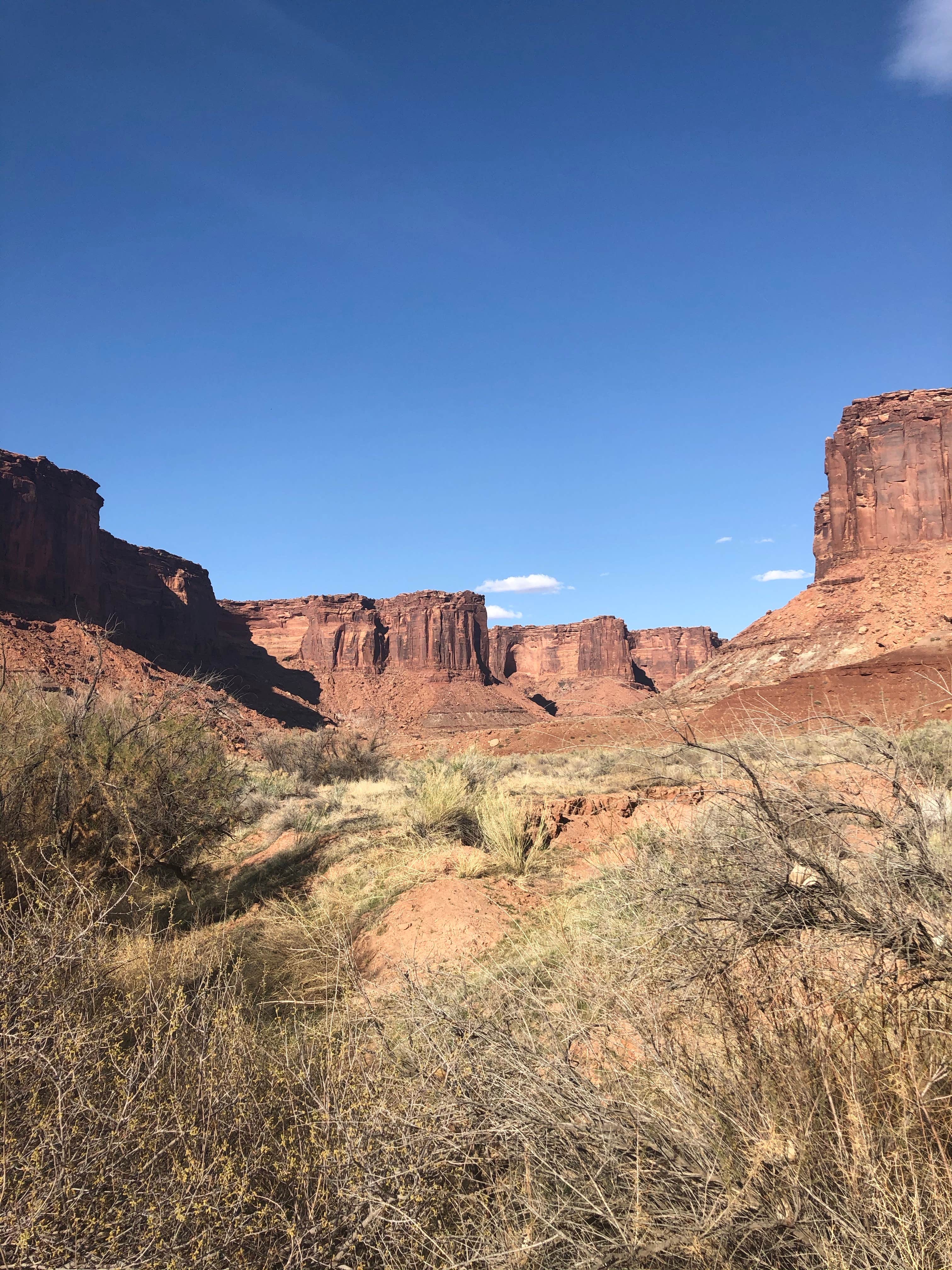 Murphy Hogback Backcountry Campsite Canyonlands National Park Moab UT