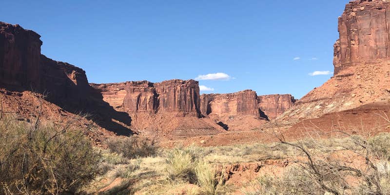 Camper submitted image from Potato Bottom Campground — Canyonlands National Park