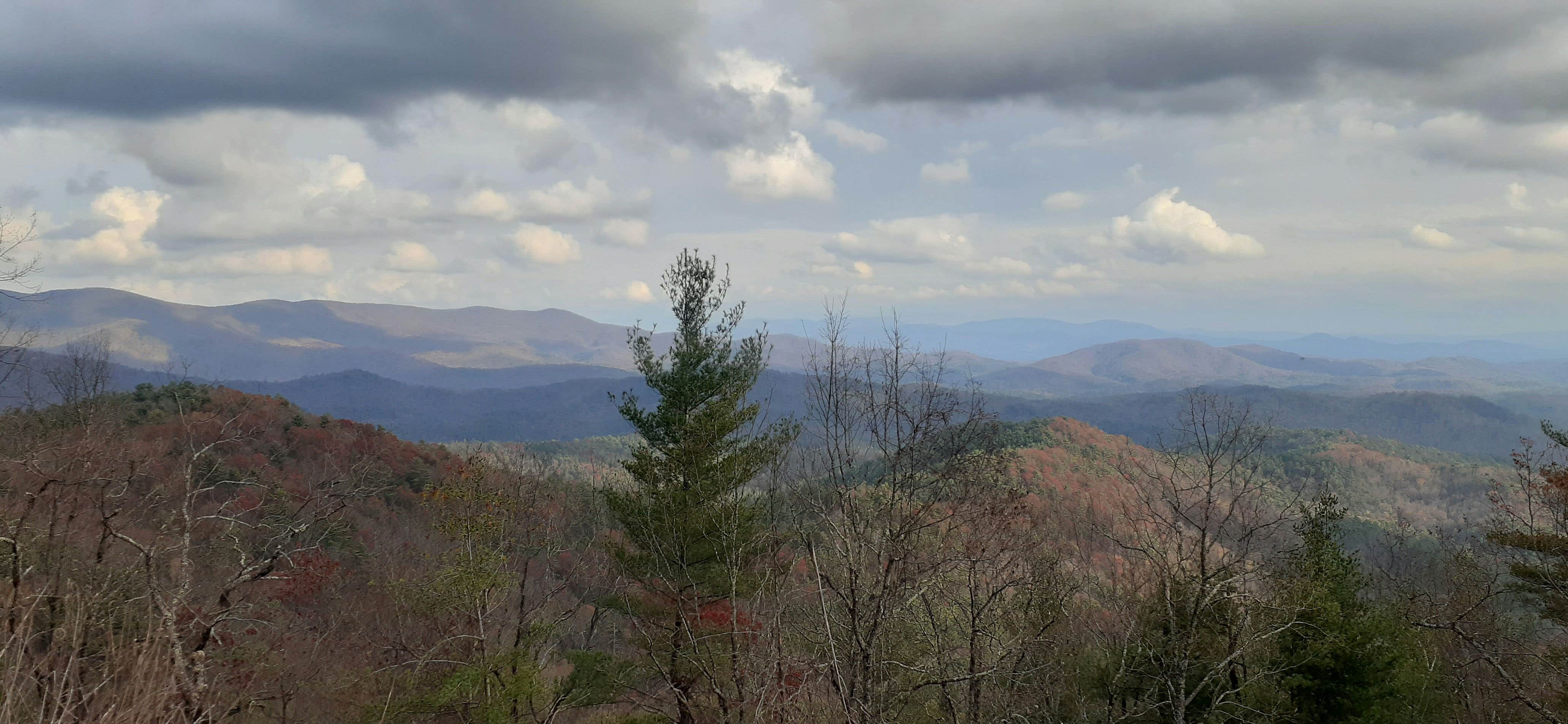 Camper submitted image from Lake Conasauga Overflow Campground — Chattahoochee Oconee National Forest - 2