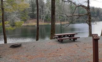 Camping near Fort Mountain State Park Campground: Lake Conasauga Overflow, Crandall, Georgia