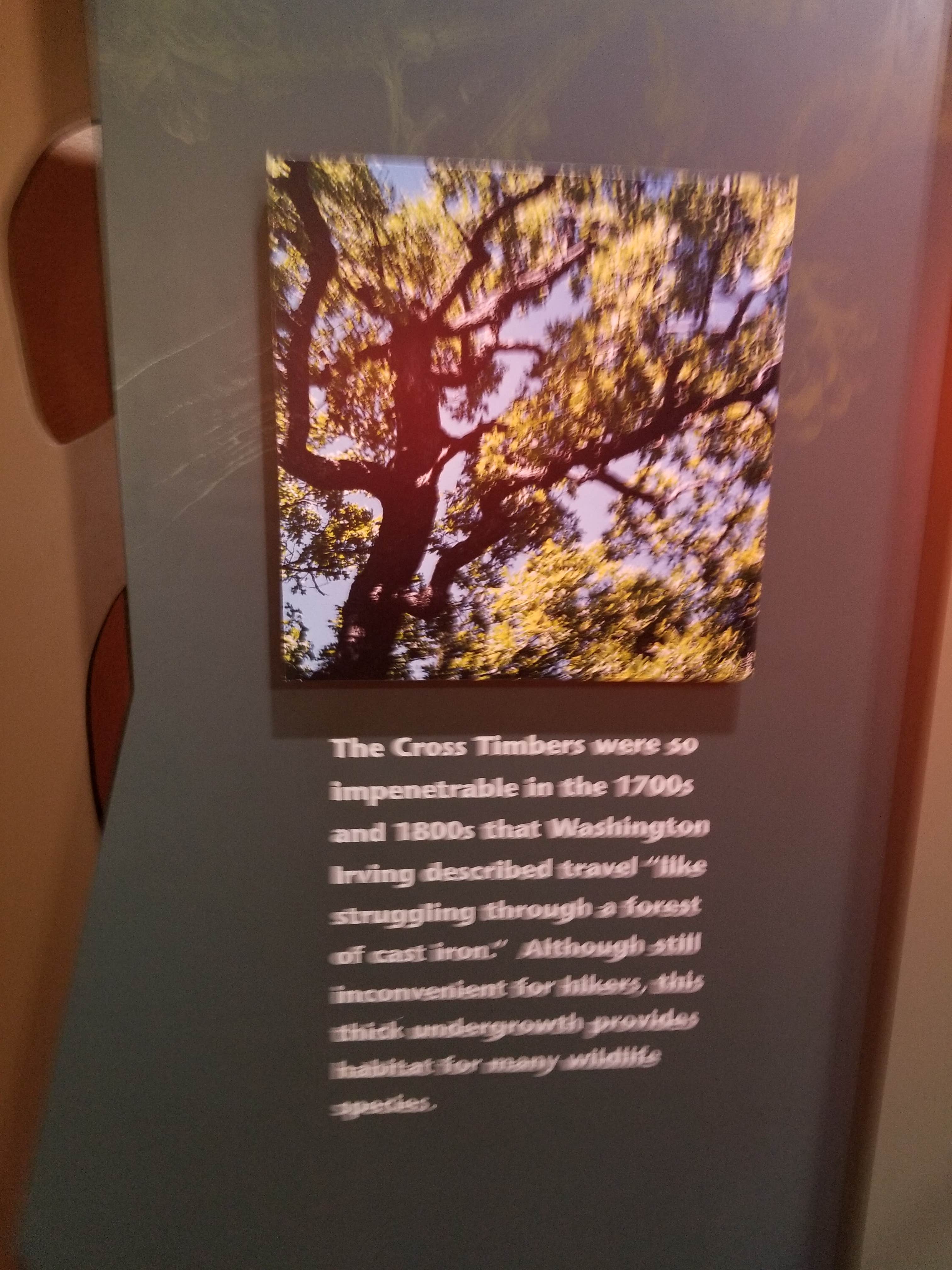 Camper-submitted photo at Camp Doris in Oklahoma