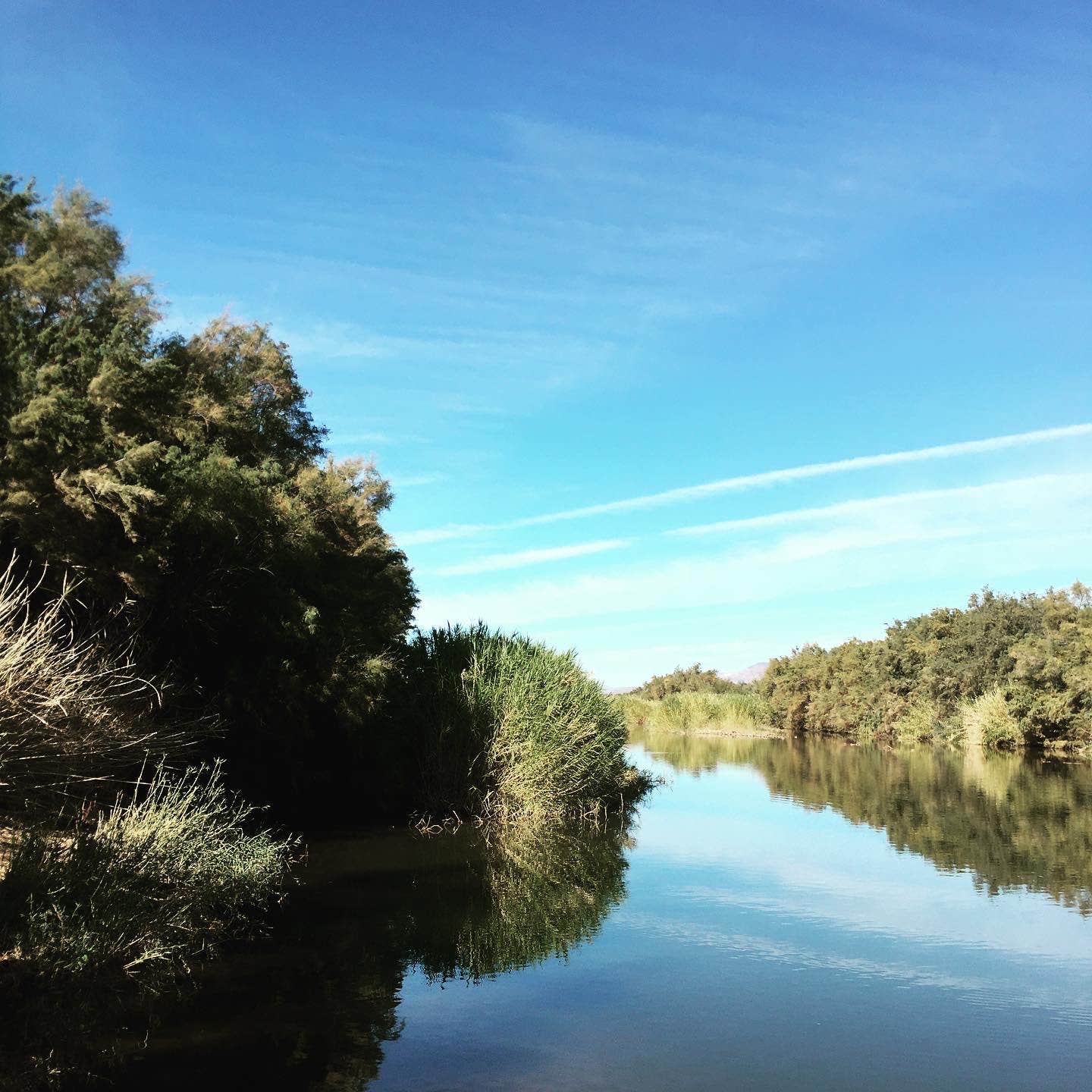 Camper-submitted photo at Eucalyptus near Globe, AZ