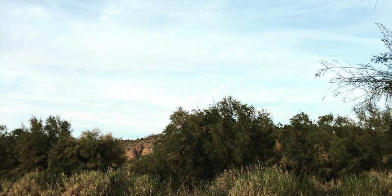 Camper submitted image from Eucalyptus