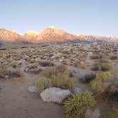 Review photo of Tuttle Creek Campground — Alabama Hills by Stacy C., November 23, 2020