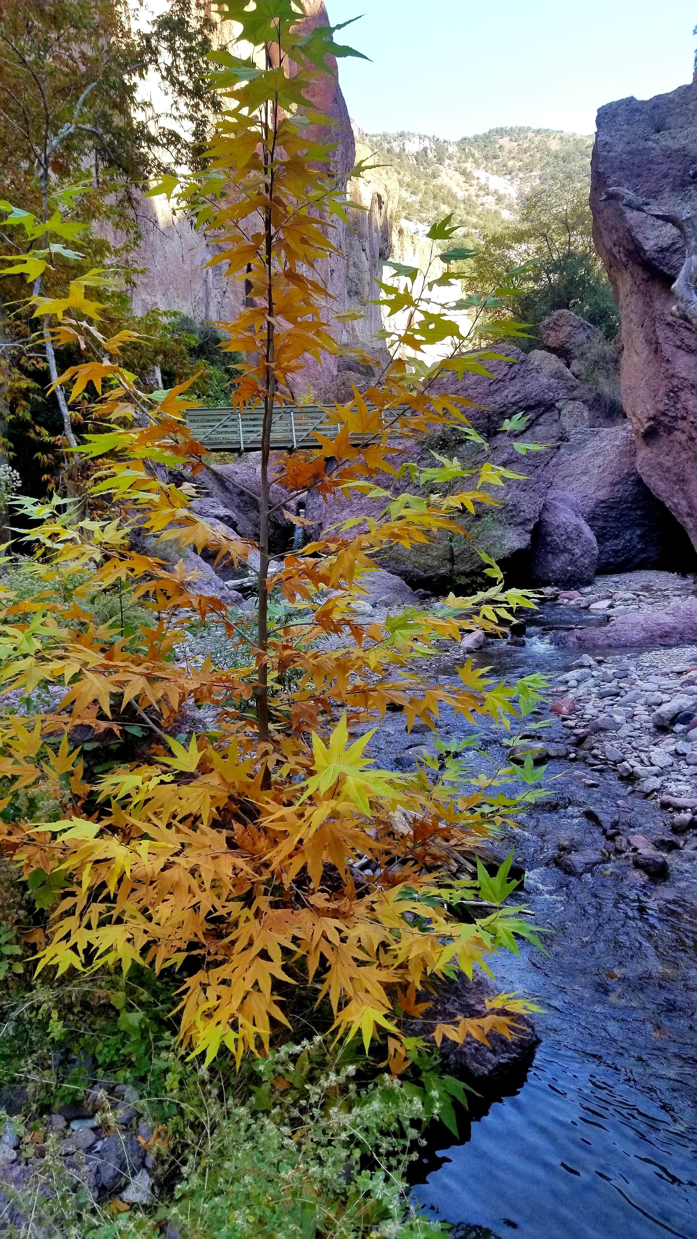 Nature