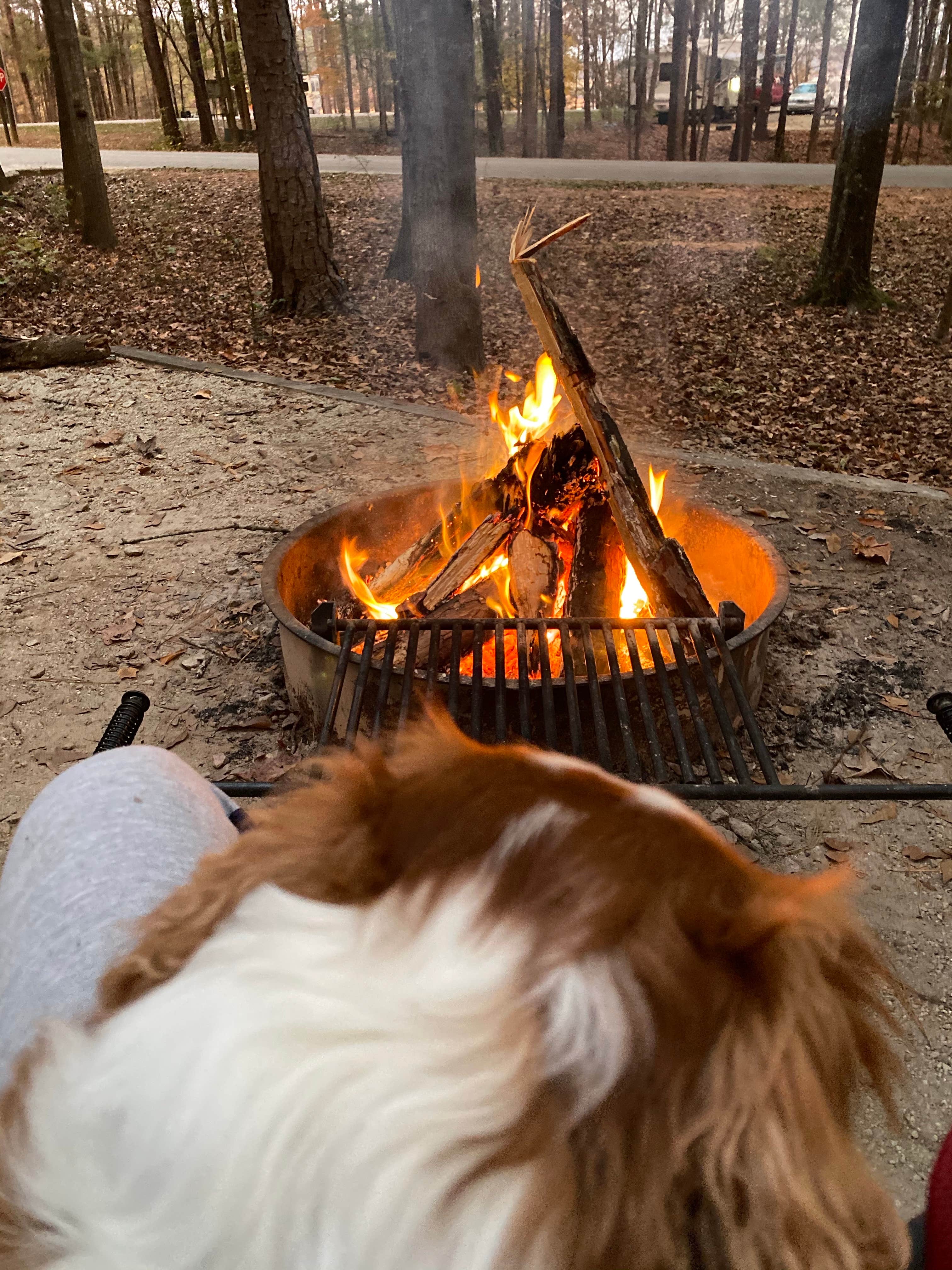 Des L.'s photo of camping with pets at Whitetail Ridge Campground near Wildwood, GA