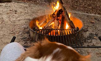 Des L.'s photo of camping with pets at Whitetail Ridge Campground near West Point Lake