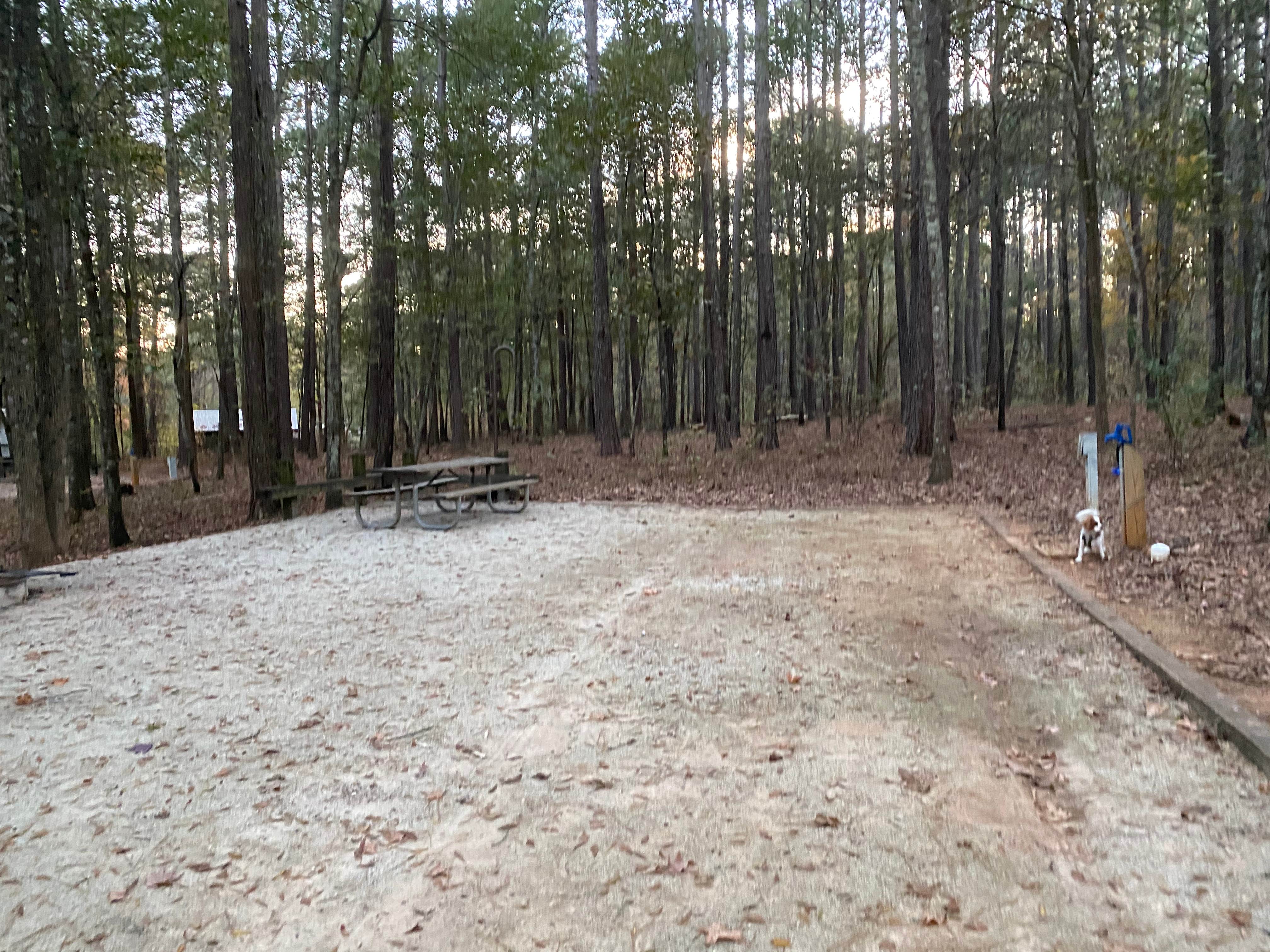 Camper submitted image from Whitetail Ridge Campground - 5