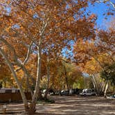 Review photo of Rancho Sedona RV Park by Michael C., November 23, 2020