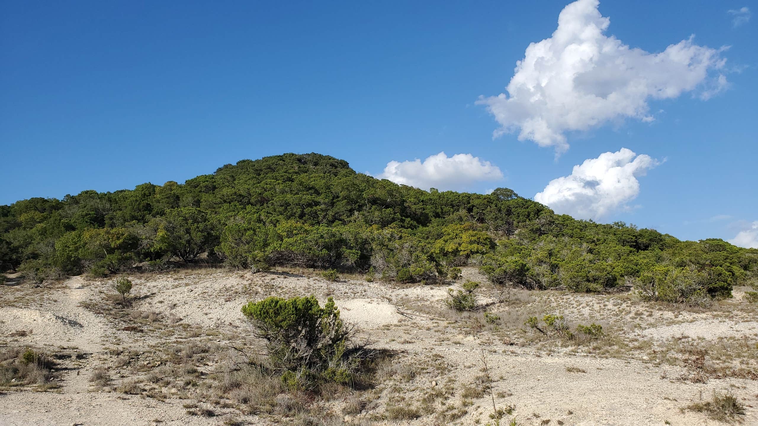 Camper-submitted photo at Dana Peak near Copperas Cove, TX