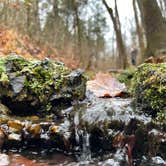 Review photo of Withrow Springs State Park Campground by Matthew G., November 23, 2020