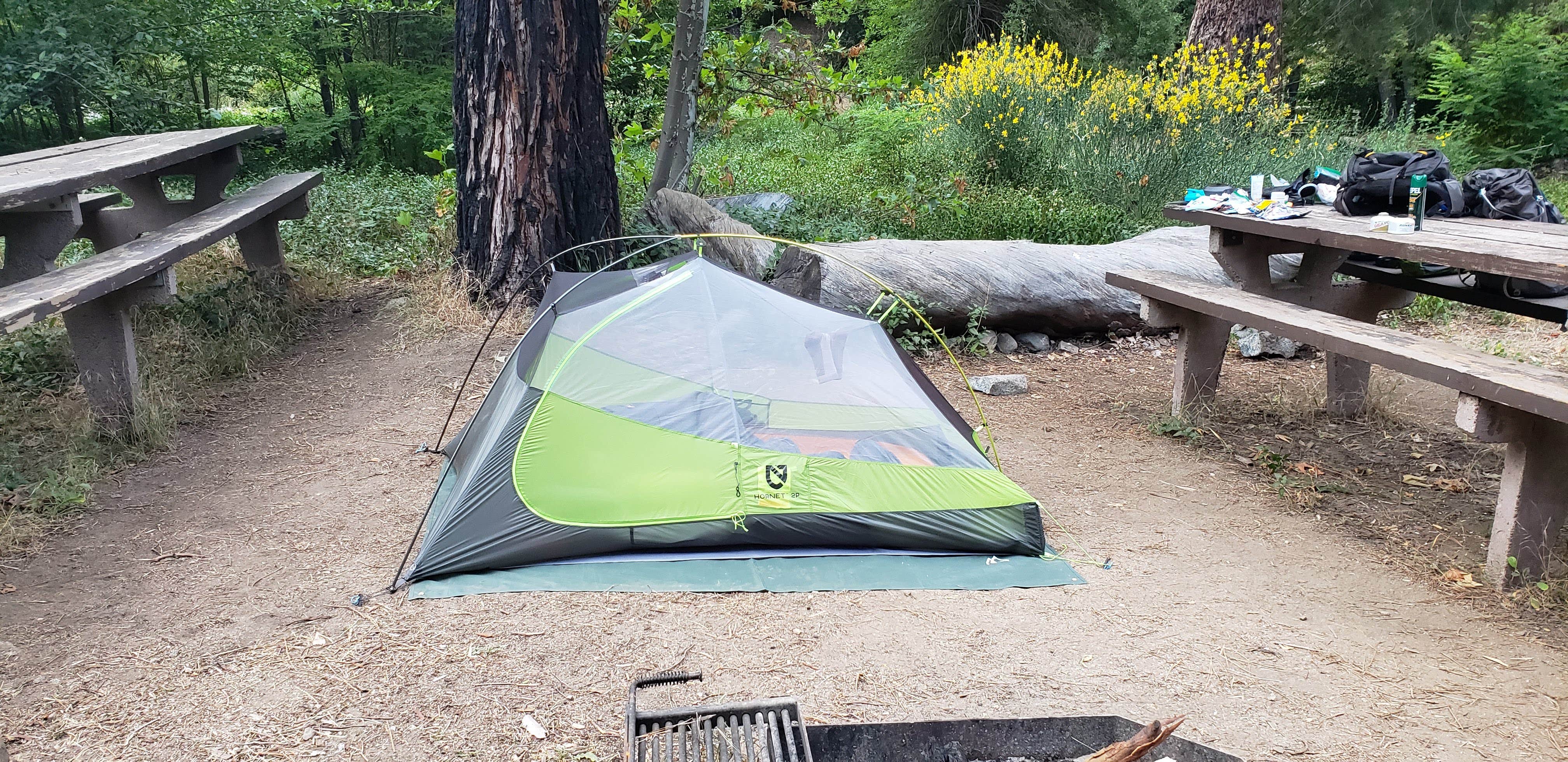 Valley forge shop trail camp