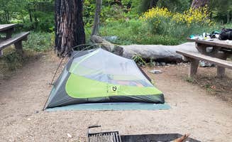 Stacy C.'s photo at Valley Forge Trail Camp hike in. no drive near Azusa, CA