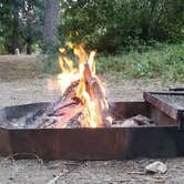 Review photo of Valley Forge Trail Camp hike in. no drive by Stacy C., November 23, 2020