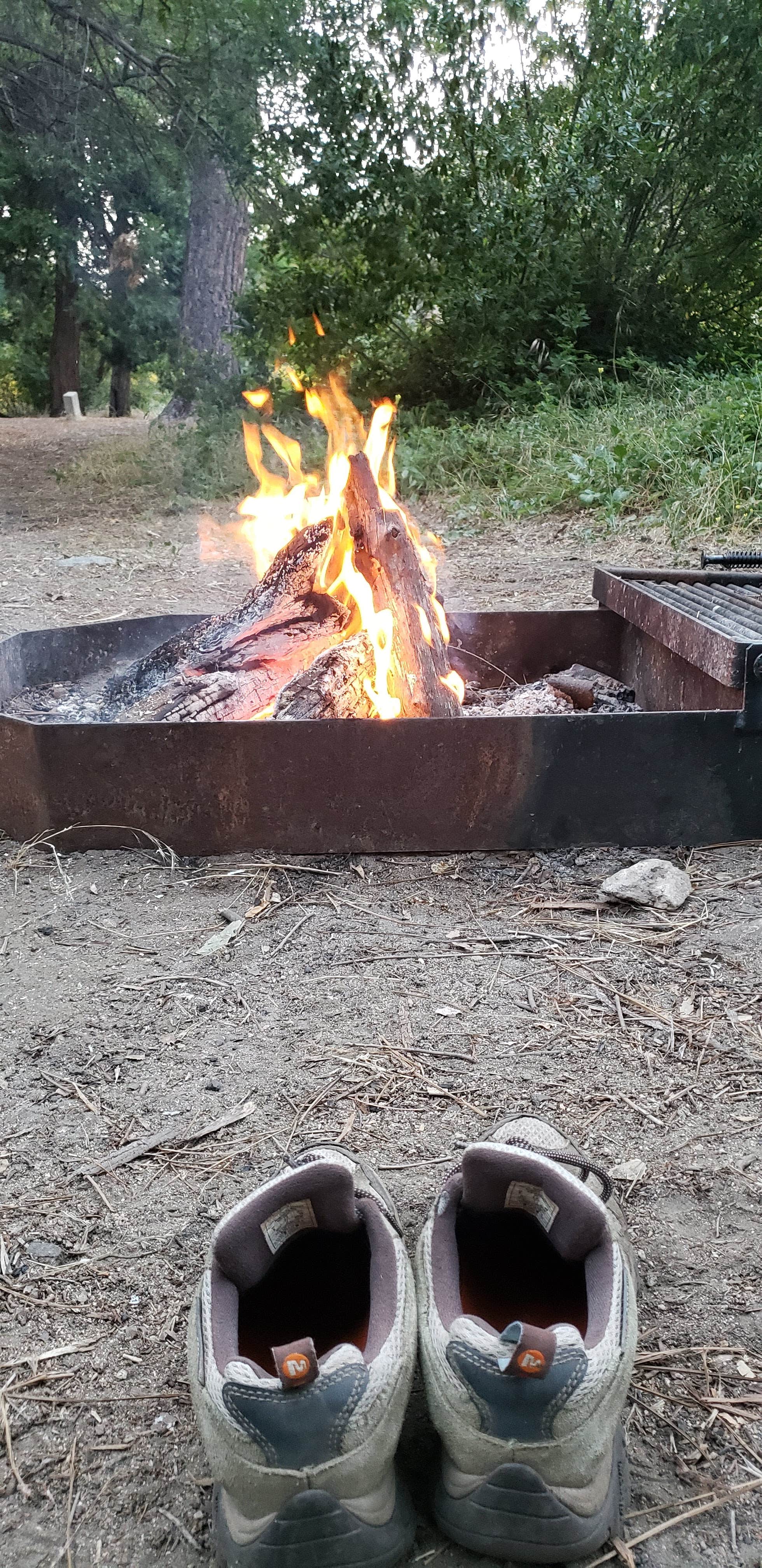 Camper submitted image from Valley Forge Trail Camp hike in. no drive - 1