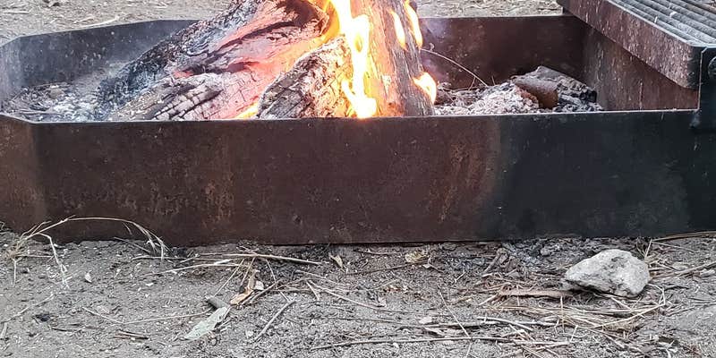 Camper submitted image from Valley Forge Trail Camp hike in. no drive