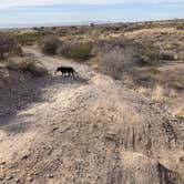 Review photo of Sierra Vista - Back Side Dispersed by Laura M., November 23, 2020