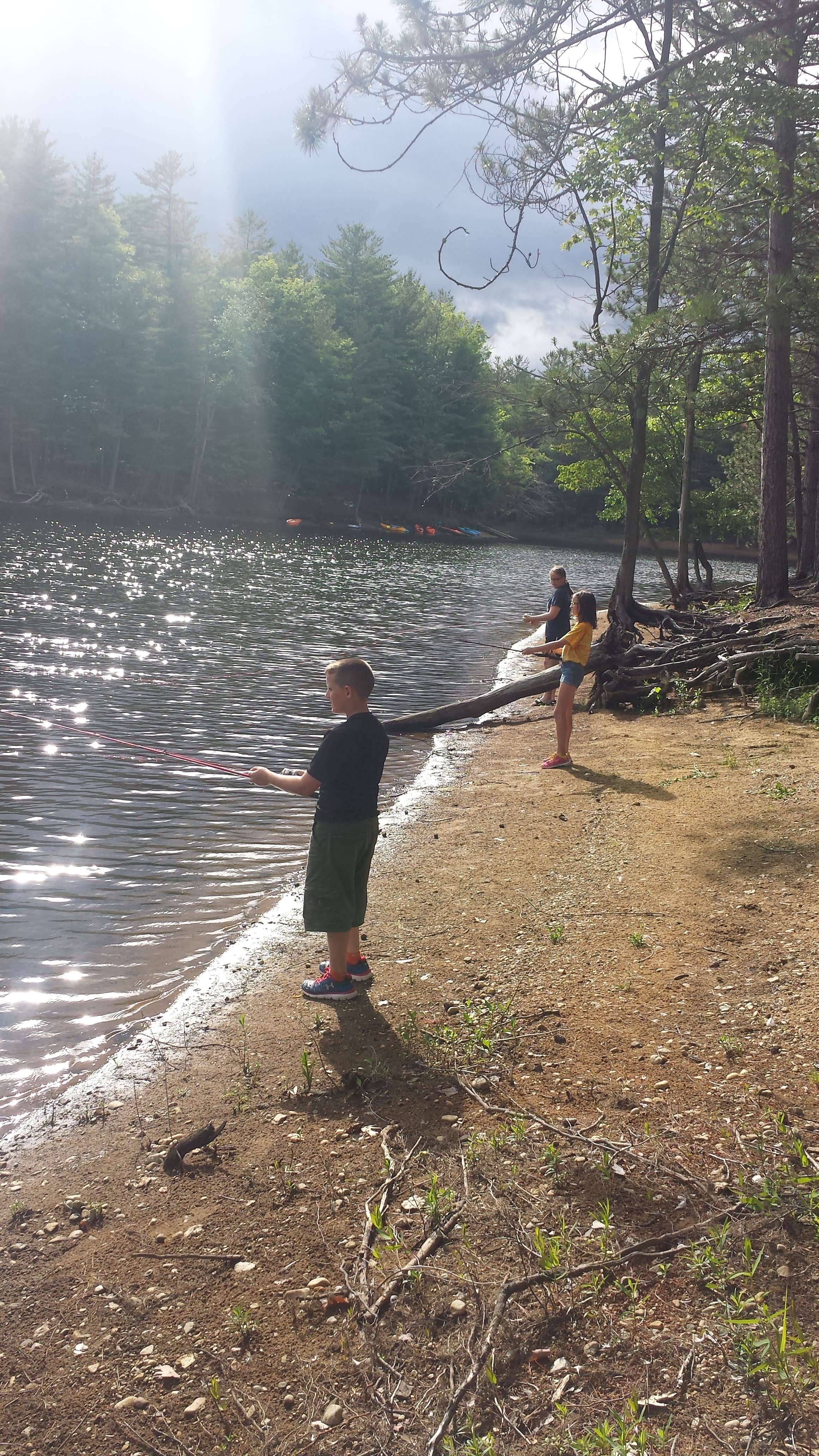 Camper submitted image from Adirondack/Northampton Beach - 4