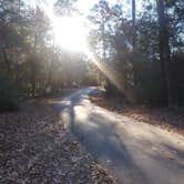 Review photo of Stubblefield Lake Recreation Area by Chad  L., November 23, 2020