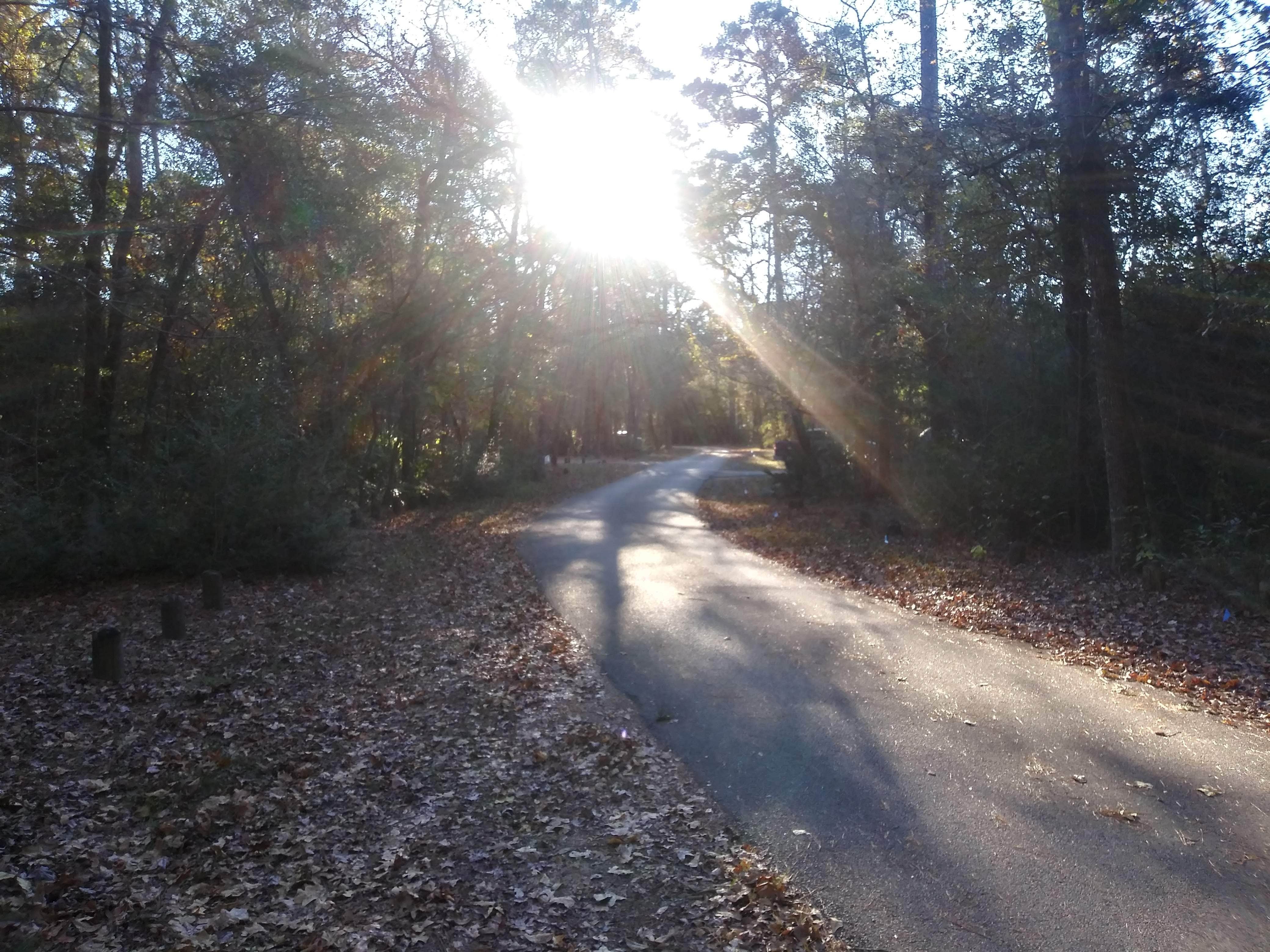 Camper submitted image from Stubblefield Lake Recreation Area - 3