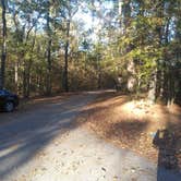 Review photo of Stubblefield Lake Recreation Area by Chad  L., November 23, 2020