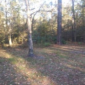 Review photo of Stubblefield Lake Recreation Area by Chad  L., November 23, 2020