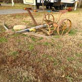 Review photo of Buddy Bear In The Smokies Campground by Julie , November 24, 2020