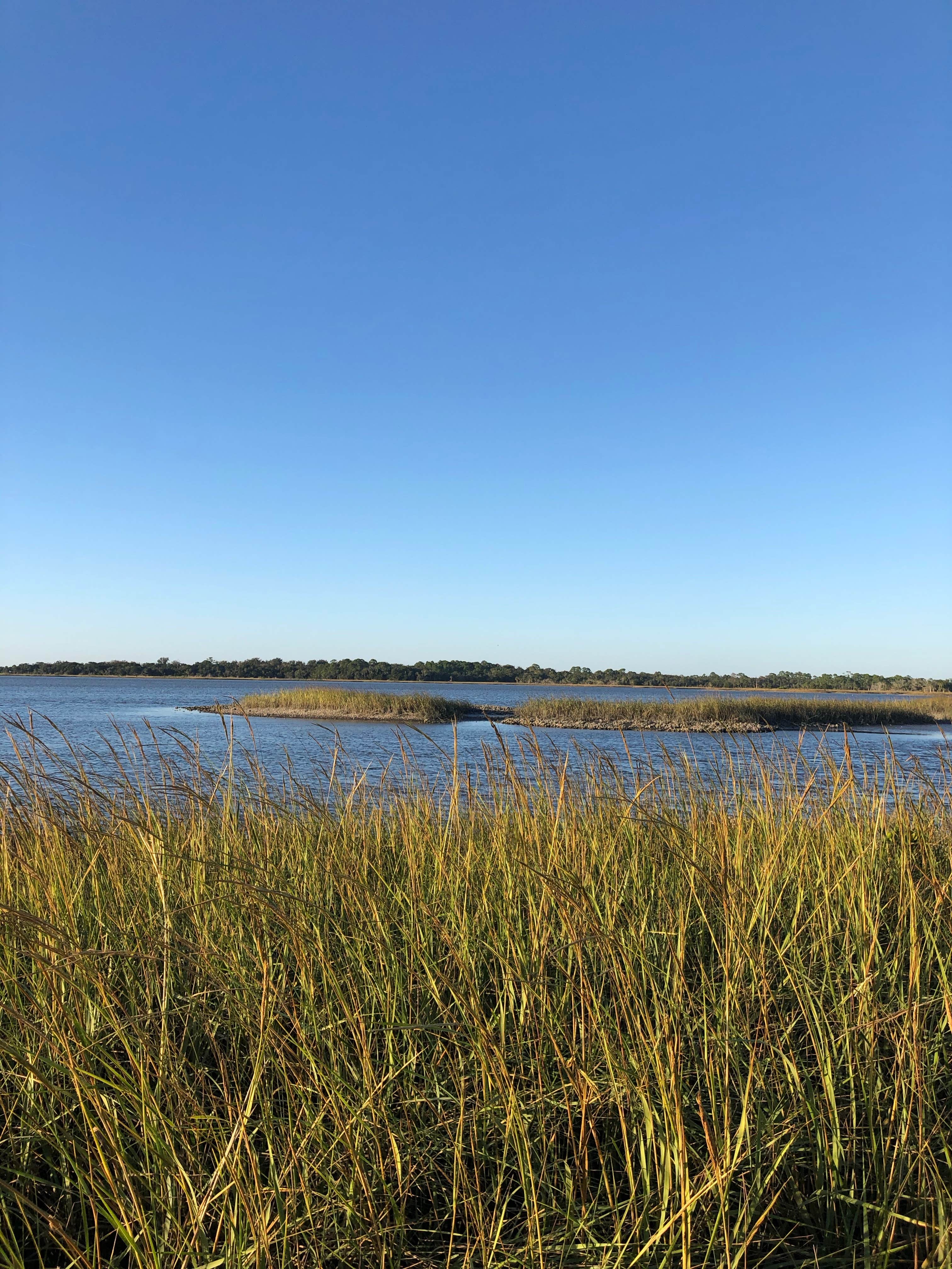 Camper-submitted photo at Shell Mound Campground near Gulf Hammock, FL