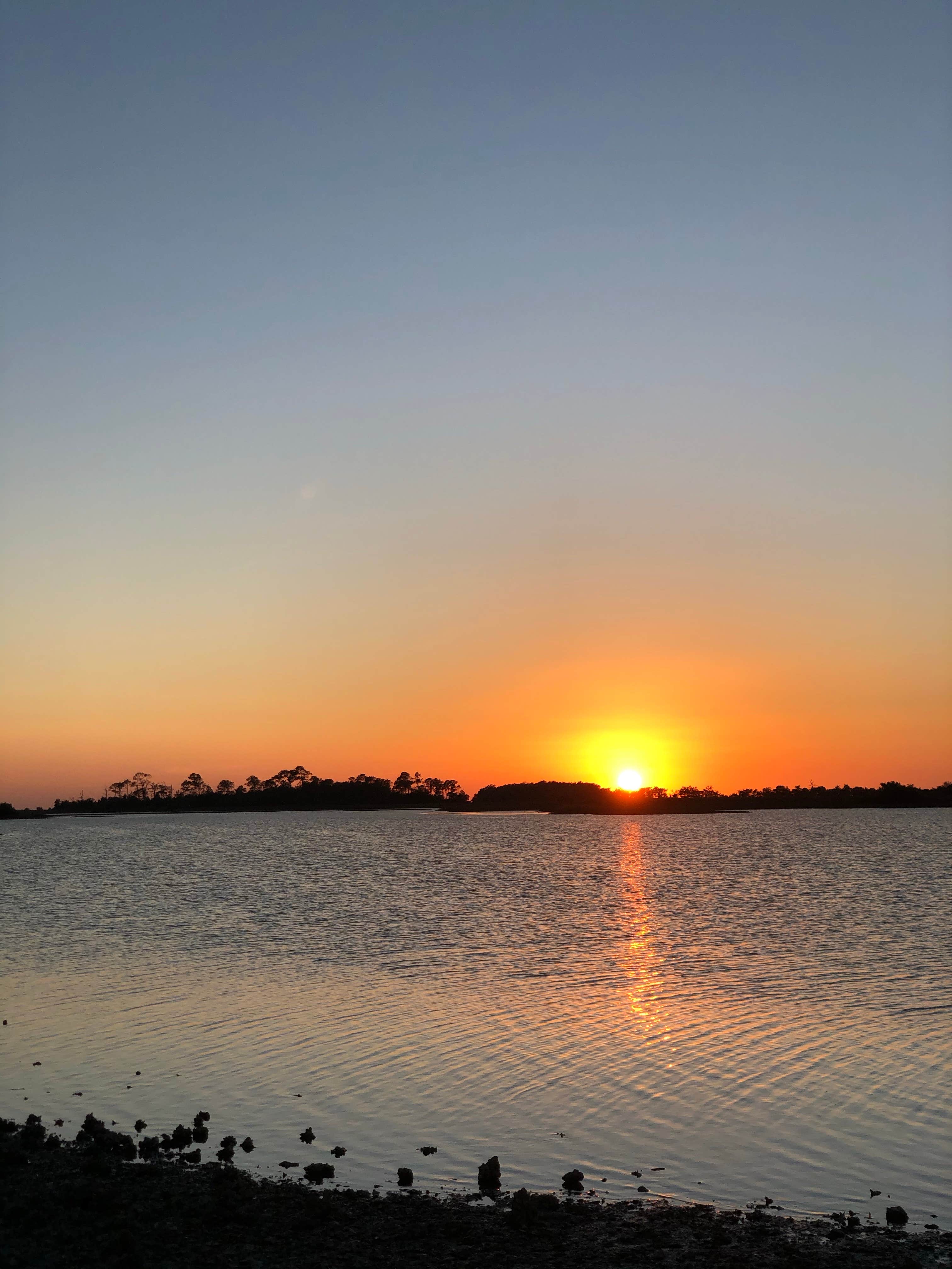 Camper-submitted photo at Shell Mound Campground near Chiefland, FL