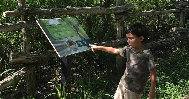 Jacales Camping Area β Goliad State Park