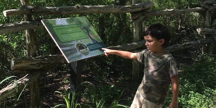 Camper submitted image from Jacales Camping Area — Goliad State Park