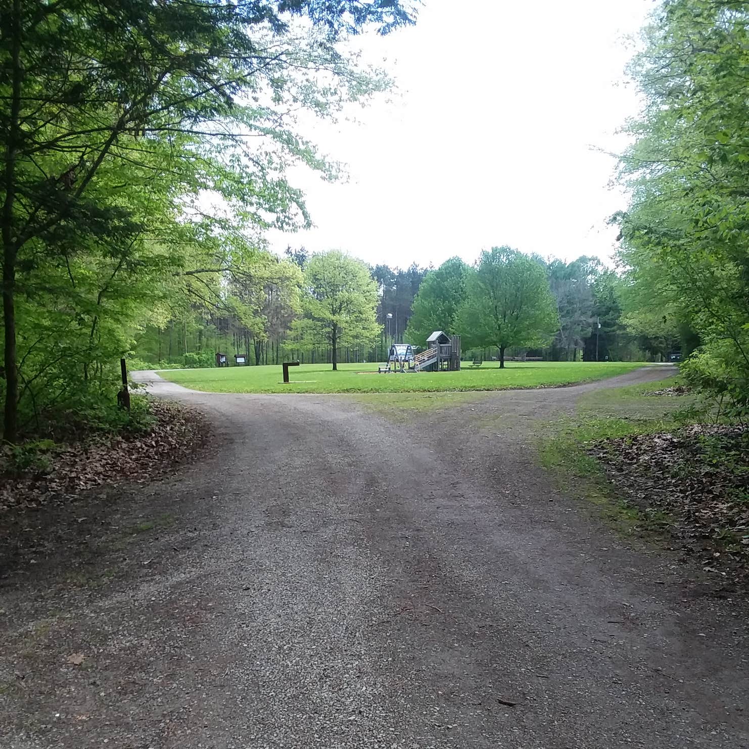 Hearts Content Recreation Area Camping The Dyrt