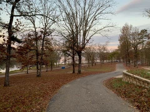 Camper submitted image from Buckhorn Creek - 2