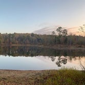 Review photo of Buckhorn Creek by Alice H., November 24, 2020