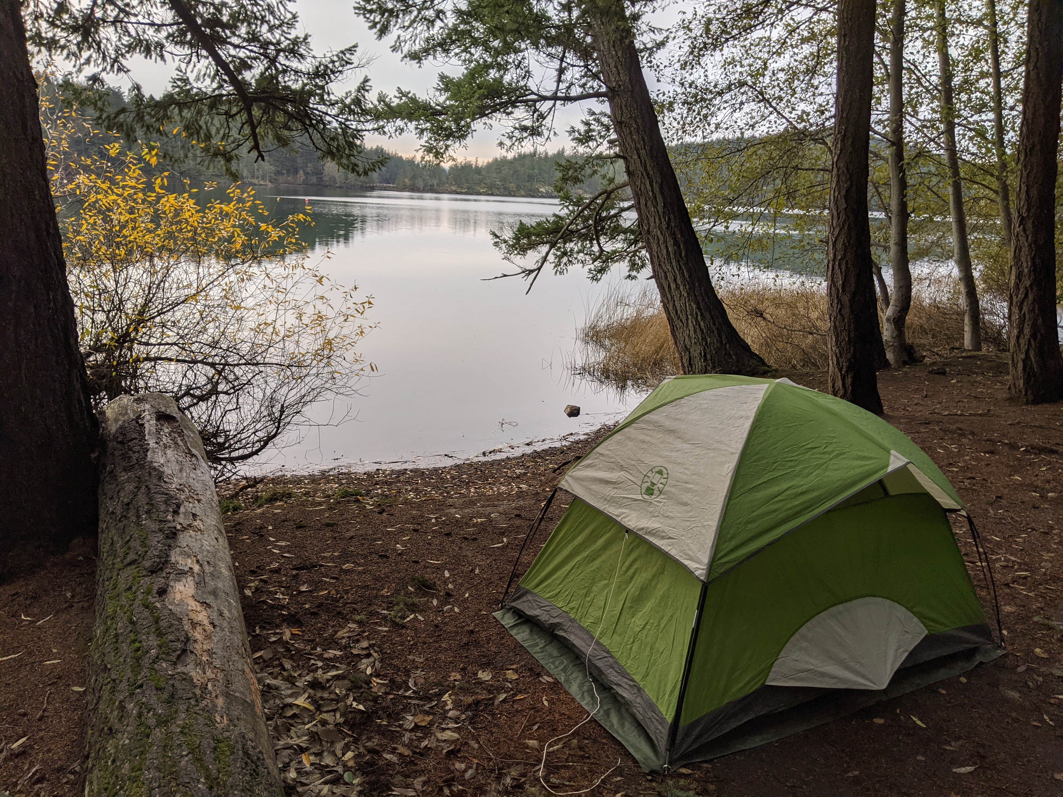 Rexanne G.'s photo at Midway Campground — Moran State Park near Deer Harbor, WA