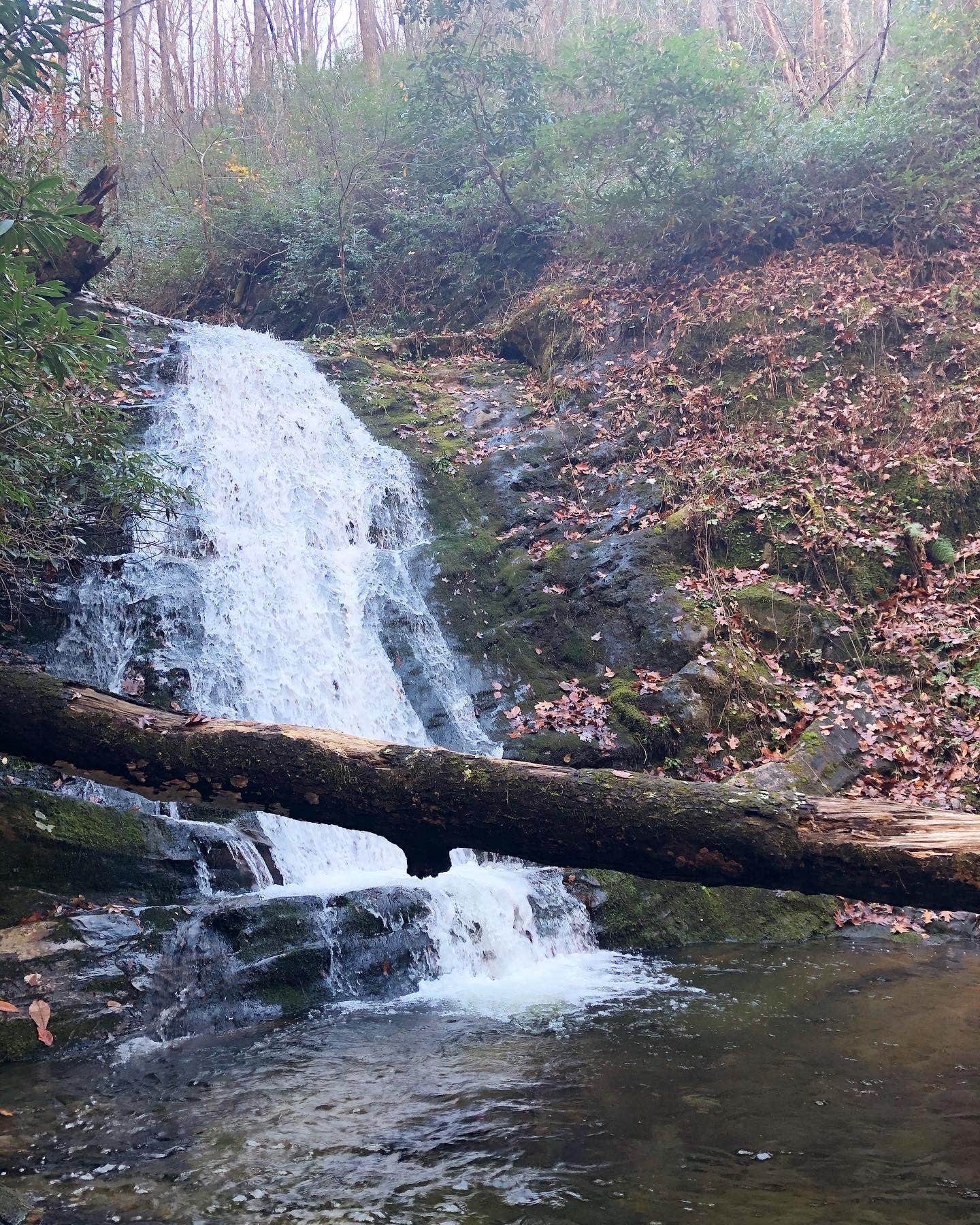 Curtis Creek The Dyrt